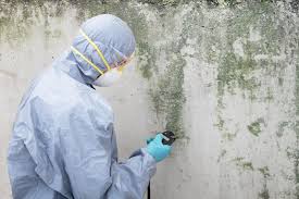 Forensic Mold Investigation in Thompsonville, PA